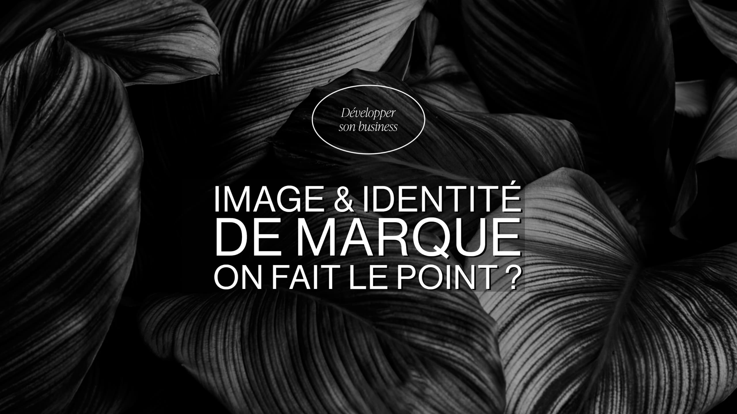 Mise en page de magazine - Graphiste professionnel