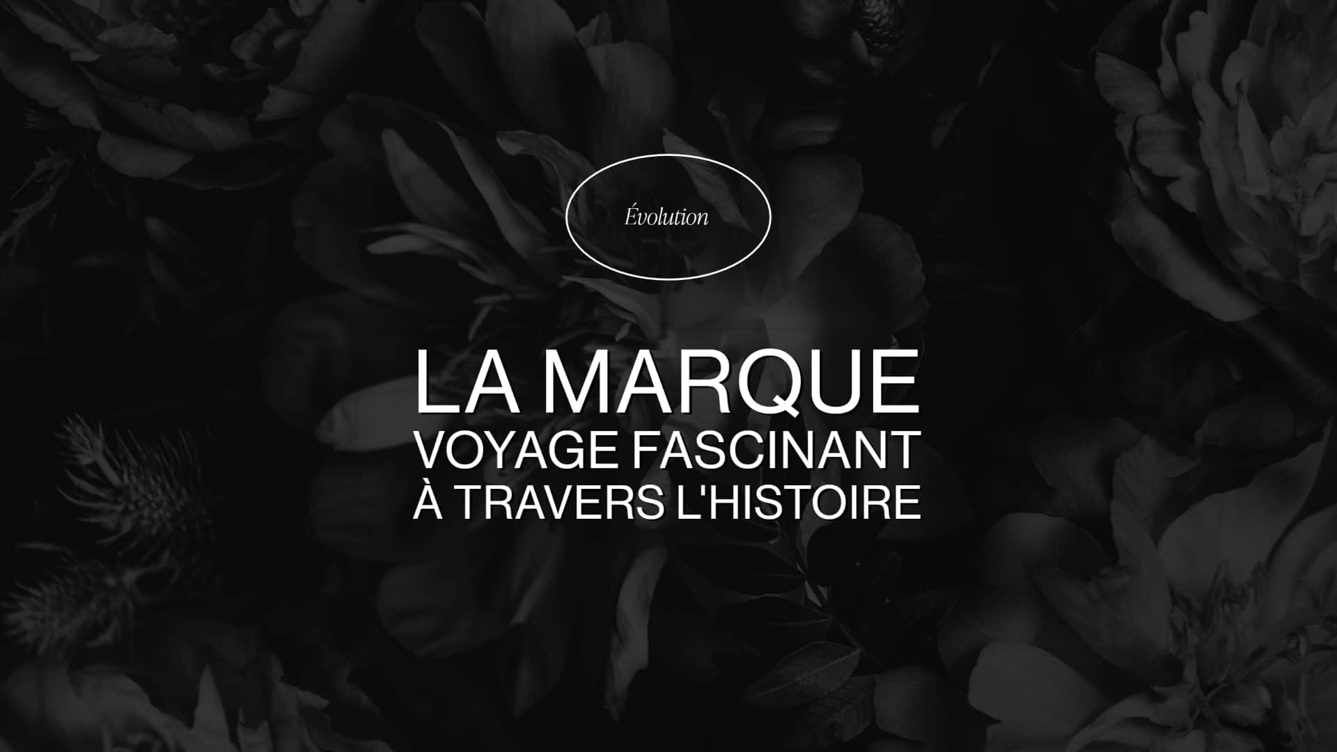 Mise en page de magazine - Graphiste professionnel