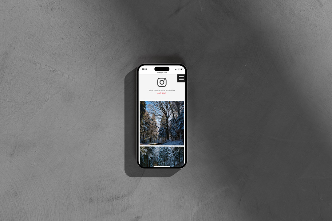 Une autre vue du site web bbatigne.com réalisé par Lunenoire Studio